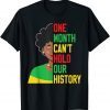 One Month Cant Hold Our History Pan African Black History Classic T-Shirt