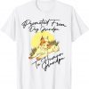 Promoted From Dog Grandpa To Human Grandpa Dogs Owner Unisex Shirt