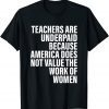 Teachers Are Underpaid Because America Does Not Value Fun Gift Shirt