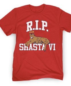 RIP SVI CHARITY TEE SHIRT