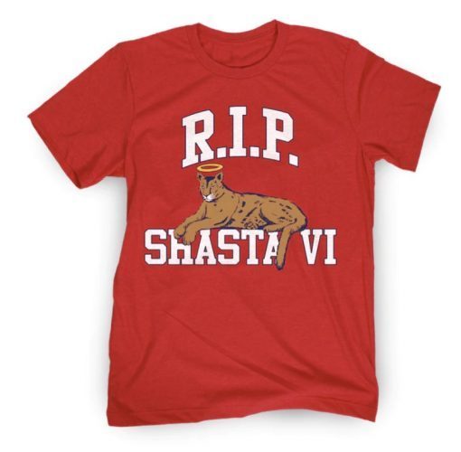 RIP SVI CHARITY TEE SHIRT