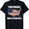Two Words Made In America Biden Anti Joe Biden T-Shirt