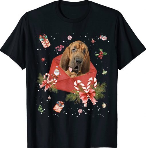 Bloodhound Dog In Christmas Card Ornament Pajama Xmas Tee Shirt