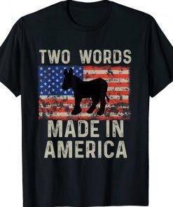 Biden Two Words Made-In-America Funny T-Shirt