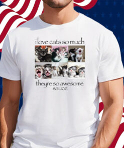 I Love Cats So Much Theyre So Awesome Sauce Shirt