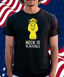 Heck Is Plausible 2023 Shirt