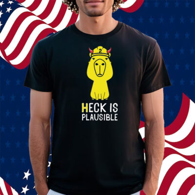 Heck Is Plausible 2023 Shirt