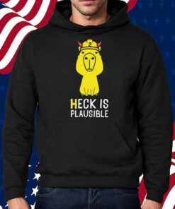 Heck Is Plausible 2023 Shirt Hoodie