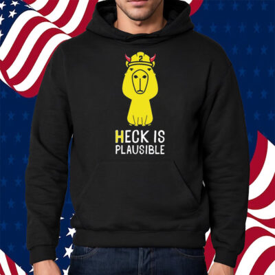 Heck Is Plausible 2023 Shirt Hoodie