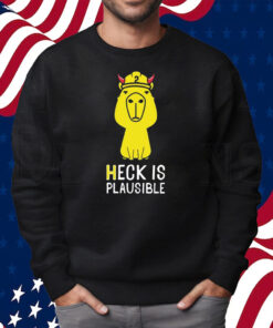 Heck Is Plausible 2023 Shirt Sweatshirt