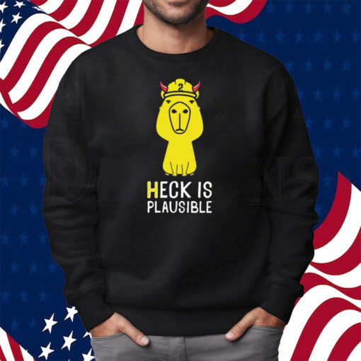 Heck Is Plausible 2023 Shirt Sweatshirt