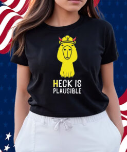 Heck Is Plausible 2023 Shirts