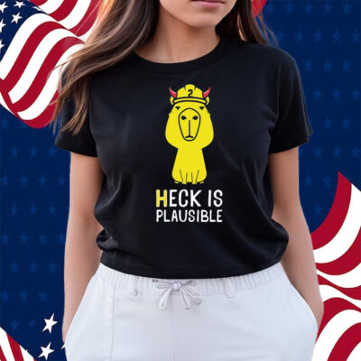 Heck Is Plausible 2023 Shirts