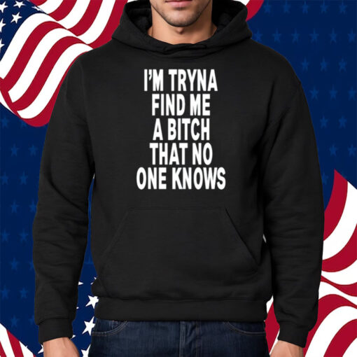 I'm Tryna Find Me A Bitch That No One Knows Shirt Hoodie
