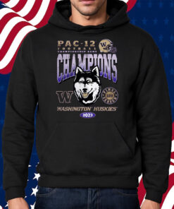 WASHINGTON HUSKIES 2023 PAC-12 CHAMPIONS DAWGS ON TOP YOUTH SHIRT HOODIE