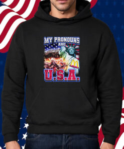 My Pronouns Are U S A Shirt Hoodie