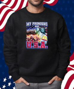 My Pronouns Are U S A Shirt Sweatshirt