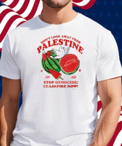 Don’t Look Away From Palestine Stop Genocide Ceasefire Now Shirt