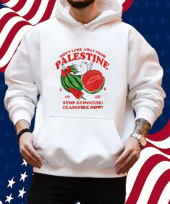 Don’t Look Away From Palestine Stop Genocide Ceasefire Now Shirt Hoodie