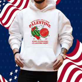 Don’t Look Away From Palestine Stop Genocide Ceasefire Now Shirt Hoodie