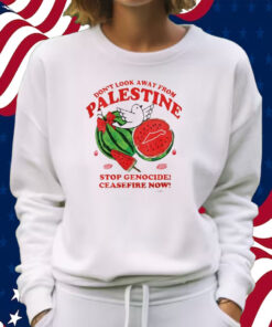 Don’t Look Away From Palestine Stop Genocide Ceasefire Now Shirt Sweatshirt