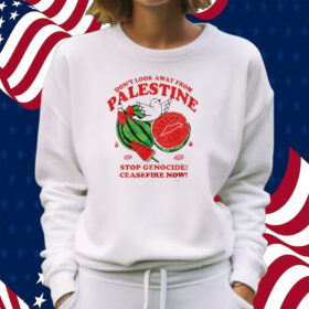 Don’t Look Away From Palestine Stop Genocide Ceasefire Now Shirt Sweatshirt