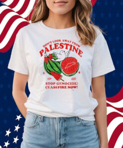 Don’t Look Away From Palestine Stop Genocide Ceasefire Now Shirts