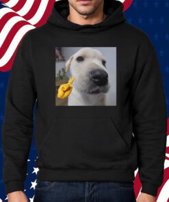 Mewing Cringey Shirt Hoodie