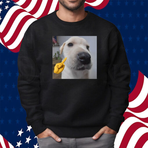 Mewing Cringey Shirt Sweatshirt