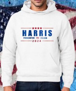 Harris 2024 Prosecutor vs Felon Just Another Tuesday T-Shirt