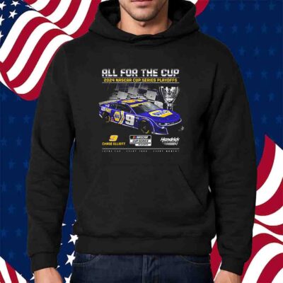 Chase Elliott Hendrick Motorsports Team Collection 2024 Nascar Cup Series Playoffs Napa T-Shirt