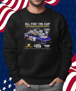 Chase Elliott Hendrick Motorsports Team Collection 2024 Nascar Cup Series Playoffs Napa T-Shirt