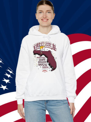 Best College Town Tallahassee Shirt