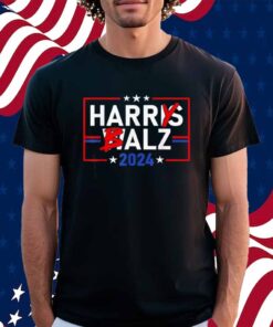 Funny Harris Walz 24 Harry Balz 2024 Meme Democratics Vote T-Shirt