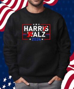 Funny Harris Walz 24 Harry Balz 2024 Meme Democratics Vote T-Shirt
