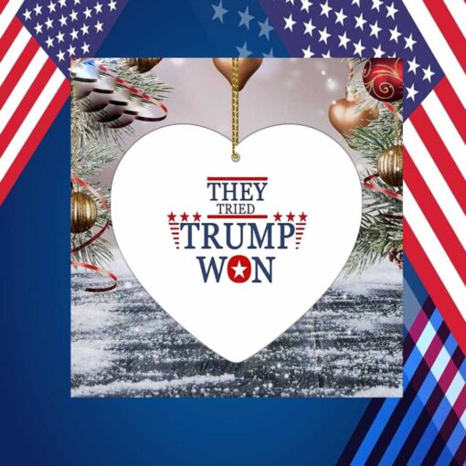 They Tried Trump Won 2024 Election Ornament