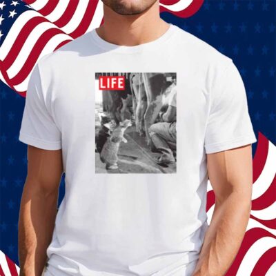 LIFE MAGAZINE CATS DRINKING MILK SHIRT