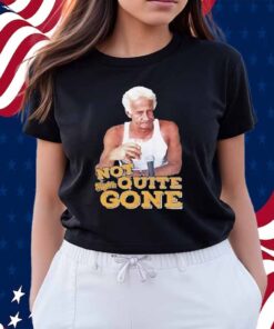 Harry Doyle Not Quite Gone Vintage Shirt