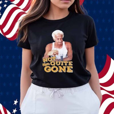 Harry Doyle Not Quite Gone Vintage Shirt