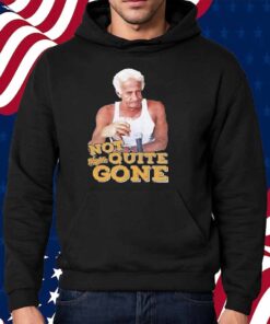 Harry Doyle Not Quite Gone Vintage Shirt