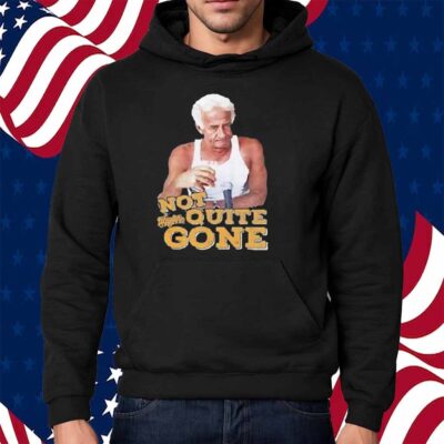 Harry Doyle Not Quite Gone Vintage Shirt