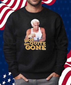 Harry Doyle Not Quite Gone Vintage Shirt