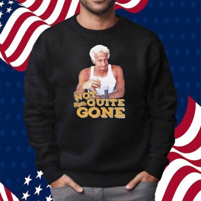 Harry Doyle Not Quite Gone Vintage Shirt