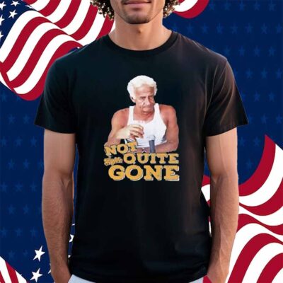 Harry Doyle Not Quite Gone Vintage Shirt