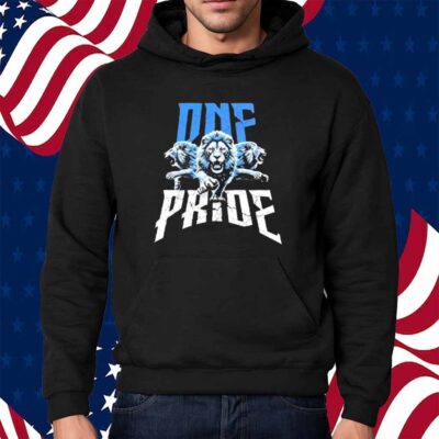 One Pride Detroit Lions Football Comfort Colors Shirt