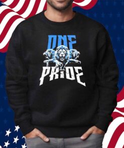 One Pride Detroit Lions Football Comfort Colors Shirt