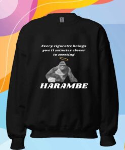 Every Cigarette Brings You 11 Minutes Closer To Meeting Harambe T-Shirt