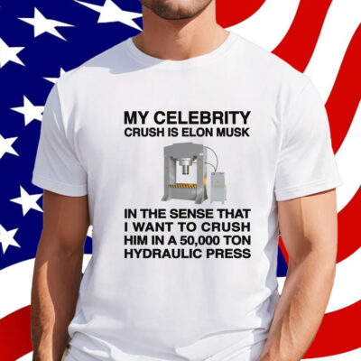My Celebrity Crush Is Elon Musk Shirt