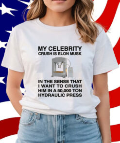 My Celebrity Crush Is Elon Musk Shirt