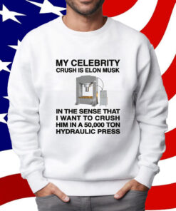 My Celebrity Crush Is Elon Musk Shirt